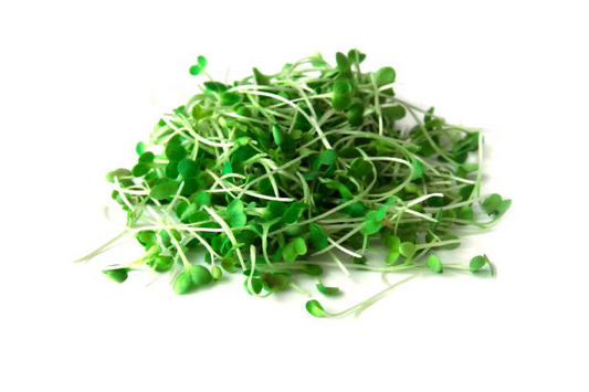 Arugula Microgreens